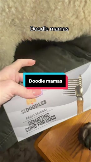 Essential Tips for Caring for Goldendoodles