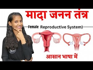 Read the complete structure of the female reproductive system carefully. Understand how the femal...