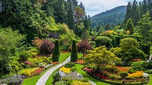 Canada beautiful flower & gardens.