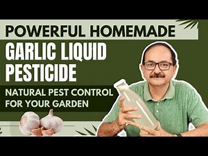 Super Effective DIY Garlic Pesticide: Protect Your Plants Naturally!