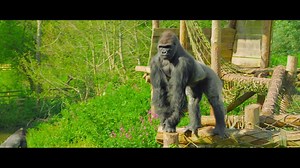 15K views · 265 reactions | Today is the day that our BRAND NEW TV ADVERT hits your screens!  We're super excited to share this advert with you, that features many of our animal stars as well as our brilliant scientist, explorer, adventurer and animal-lover characters. 漣年轢列 We look forward to seeing you for a zooper day out this summer! ☀️ | Paignton Zoo | Facebook