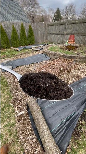 Improve Your Garden’s Soil Health!