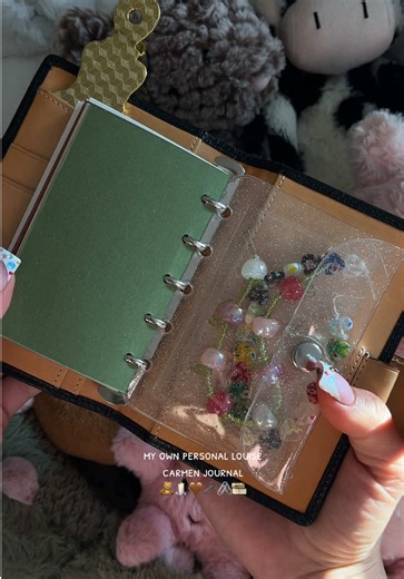 time to customize her 🌟 will be adding so much personality to her 🖇️ #planner #journalideas #whatsinmypurse #collegestudent #stationery #haultok #journalinspiration #journal