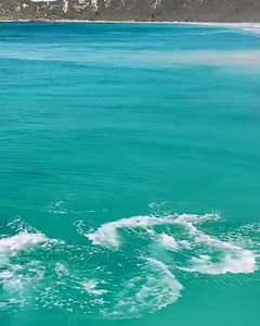 2.2M views · 47K reactions | Somewhere over the rainbow  dolphins fly    : Jaimen Hudson | Ocean Conservation Research - OCR | Facebook