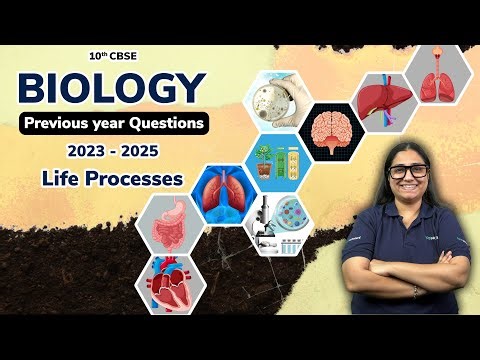 Life Processes PYQs Class 10 CBSE | Most Repeated Questions with Solutions | Board Exam