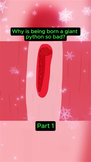 Why is being born a giant python so bad #NatureIsMetal #WildlifeStandard #AnimalFacts #AmazonRainforest #Storytime