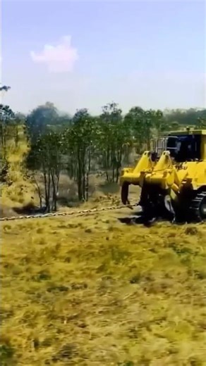 Chain Brushing Technique 🌴