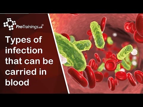 What are the types of infection that can be carried in blood