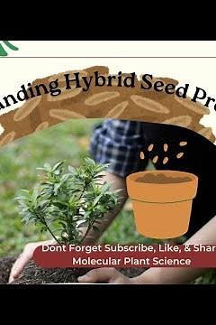 Understanding Hybrid Seed Production: Key Concepts & Techniques