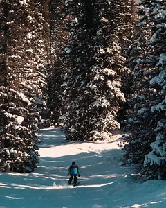 4.1K views · 173 reactions | We're counting down the days until the 2019/2020 season kicks off! | Purgatory Resort | Facebook