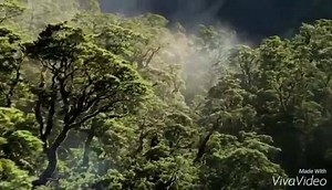 Belle récitation du coran | Islam rappels