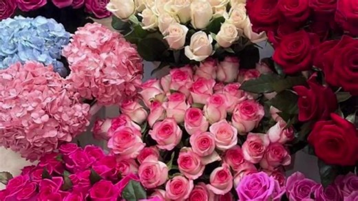 Top Recommendations for iMovie Users