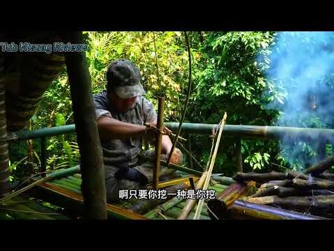 Conquer BROKEN Tree Branches Like a PRO and Build a Stunning House