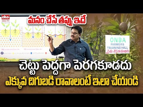 Farming New Techniques by Prathibha Biotech MD Rajashekar Reddy | Mango Farming | EHA TV