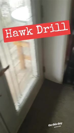 Chickens Reacting to Hawks: A Funny Compilation