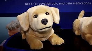 Jennie the robot dog meant to comfort dementia patients.