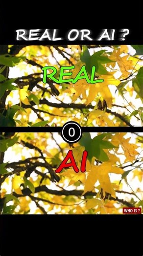 Real or AI? #Shorts #AIvsReality