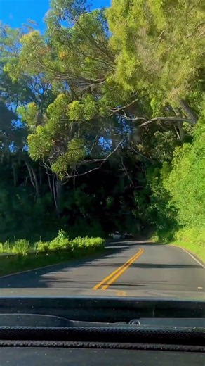 Road to Hana Dash Cam 🌴 A Hidden Waterfall Reveal