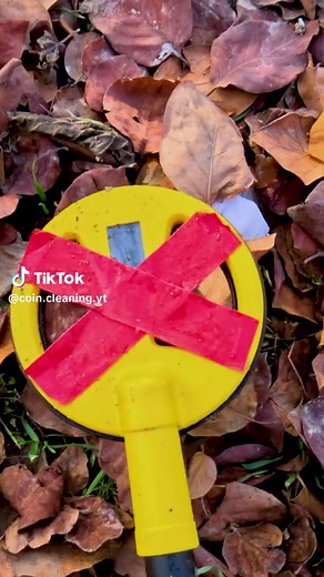 Alone in the Forest: Hidden Treasure? #forest #coinwashing #asmr #lifehacks #viral