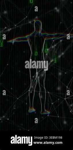 Vertical video: On start 3D humanoid rotating while mesh forming and binary streams showing anatomy. Hologram, wireframe, cyberspace, translucent, digits, polygonal, vertical video Stock Video Footage - Alamy