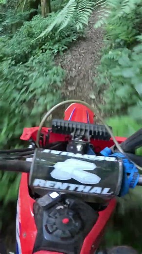 Dirt Bike on The Trail CRF250F #dirtbike #motortrail #motocrosslife #motocross #enduro #offroad