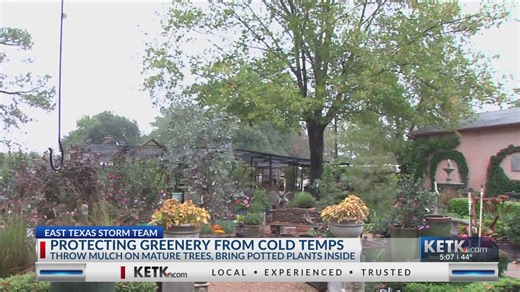 Cold weather tips: How to stay safe and warm as temperatures drop