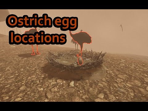 SoulMask | Ostrich egg locations | how to tame Ostrich