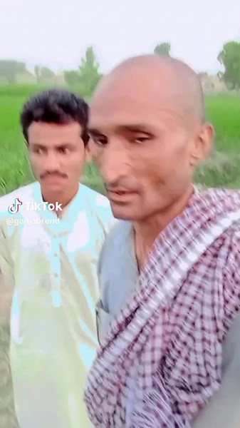 Funny Ganja Trends in Video Comedies