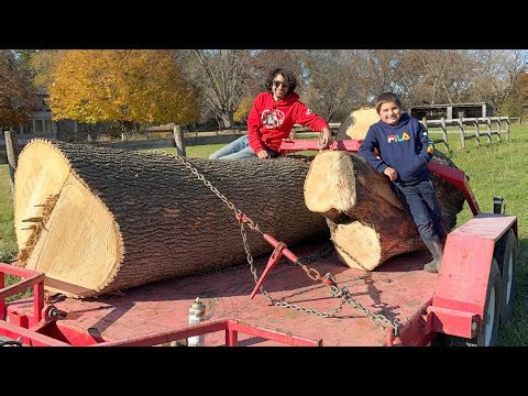 Picking up Logs with my Son
