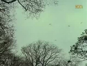 Отпущение грехов (1978) Absolution