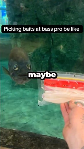 Best Way To Choose Fishing Bait!