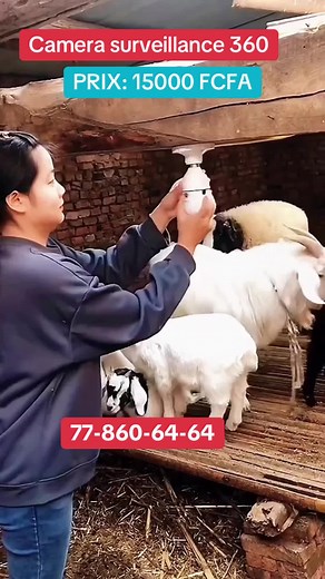 #camera #cameracontrol #security #voleur #videosurveillance #galsen221🇸🇳🇸🇳 #foryou #pyf #pourtoi #live #221tiktokgalsen🇸🇳 #221🇸🇳 #buzz #senegal #senegaltiktok #tiktokgalsen221🇸🇳👋 #221🇸🇳 #senegal #vues #dakarbuzz #daka #nouveau