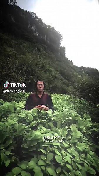 Netero Training Techniques Explained