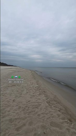 🌲🚙🌲 | 2026.03 | "Baltic Sea" 🌊 #jastarnia #qubusiovanie #vanlife #nature #travel #vlog
