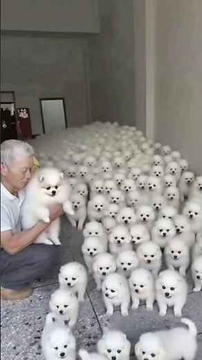 "Man Saves a Helpless Puppy Trapped in a Drain 🐶💧 | Heartwarming Rescue Story" #shorts