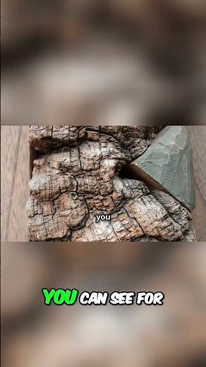 Inverness Castle: Epic Views & Photo Tips!