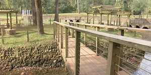 Radium Springs Garden may be open for swimming again