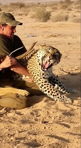 Man vs Leopard: Savage Desert Battle Caught on Camera