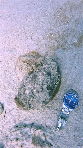 Ian Haggerty on TikTok