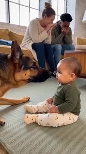 Dog Barking… The Baby Didn’t Move. The parents can’t stop laughing. 😳🐶👶 #Baby #Dog #ToddlerLife #KidsAndPets #FunnyPets #ParentingHumor #FamilyChaos #RelatableParenting #CatVsBaby #DogVsBaby #USA #UK #FunnyBabyMoments #PetHumor | SIMI AI