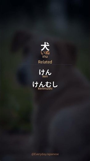 犬 (inu) | Japanese Word of the Day #shorts