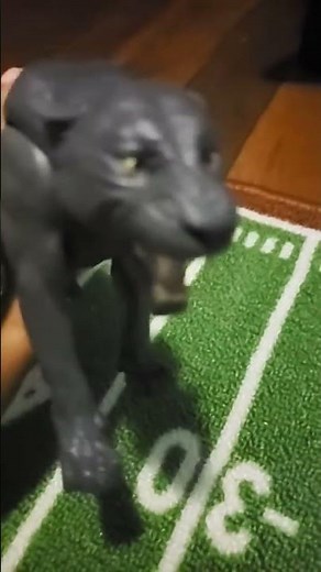 Two years after 2021 (2019) dantdm staryed hes hardcore world