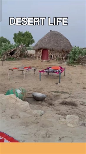 desert life in south Punjab Pakistan #shorts #villagelife #dailylife