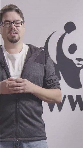 🔥🌿 Así restauramos bosques tras los incendios