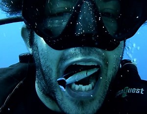 Diver lets tiny fish clean his teeth.