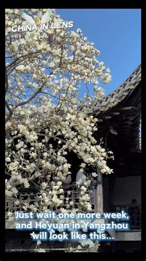 Visit Yangzhou in March, when flowers fill the air.