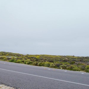 Set your next benchmark with the all-new 2023 Lexus RX. | Lexus Canada