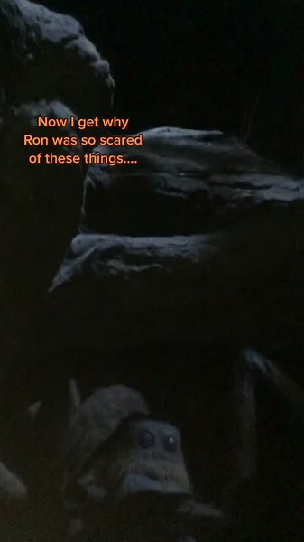 El miedo de Ron Weasley a las arañas en Harry Potter