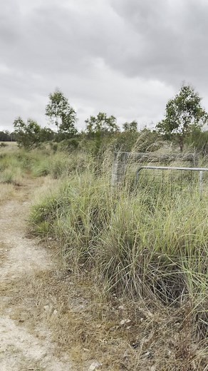 Blue tree project 💙 Raising awareness for mental health! | SoberSquad