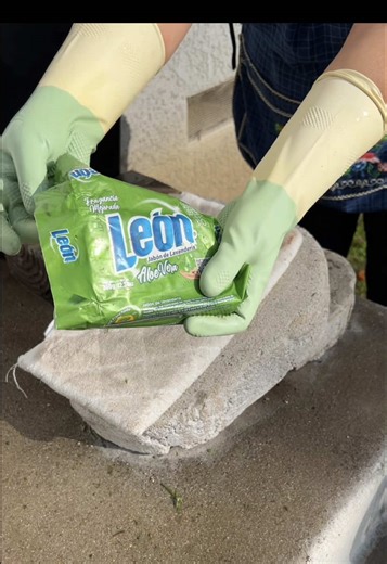 Leon Soap Review: ASMR Hand Washing Experience